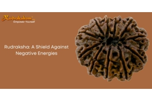 Rudraksha: A Shield Against Negative Energies