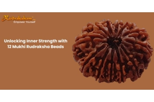 Unlocking Inner Strength with 12 Mukhi Rudraksha Beads