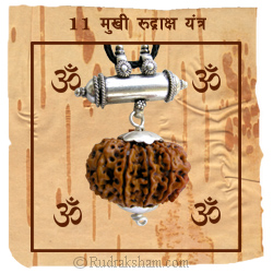 Medium Rudraksha Yantra