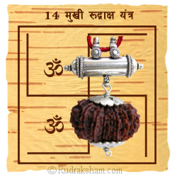 Collector Rudraksha Yantra