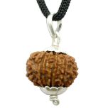 10 Mukhi Rudraksha Pendant | Dus Mukhi | Ten Mukhi Rudraksha Pendant in Silver , Energised and Natural High Quality Ten Faced Rudraksha