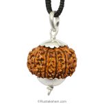 12 Mukhi Rudraksha Collector Pendant | Barah Mukhi Silver Pendant, Twelve Mukhi Pendant | Large and High Quality Rudraksha Beads