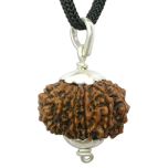  13 Mukhi Rudraksha Bead Pendant | Silver Pendant | Thirteen Mukhi Faced Silver Rudraksha Pendant for Wealth and Riches