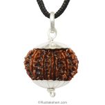 13 Mukhi Rudraksha Bead Pendant In Silver Caps | Buy Original 13 Faced Rudraksha Pendant at Best Price - Collector Rudraksha Bead