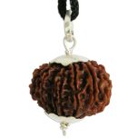 15 Mukhi Rudraksha Bead Pendant | 15 Faced Rudraksha Silver Caps Pendant Energised and Authentic Nepal Bead Fifteen Mukhi