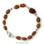 2 Mukhi Rudraksha bracelet