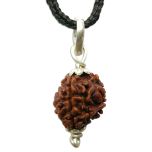 3 Mukhi Rudraksha Pendant | Teen Mukhi Silver Pendant High Quality Nepal Energised Bead Authentic and Pure