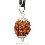 Collector 3 Mukhi Rudraksha Pendant | Three Faced Rudraksha Silver Pendant | Energised Authentic Pure Nepal Bead Best Buy