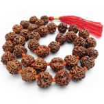  3 Mukhi Rudraksha Nepalese Mala in Thread | To Pacify planet MARS | Teen Mukhi Mala Rosary