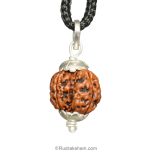 Collector 4 Mukhi Rudraksha Pendant | Four Faced Collector Rudraksha Silver Pendant 100% Original & Energised | Best Buy Online 