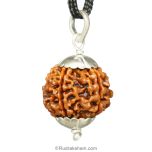 5 Mukhi Rudraksha Collector Pendant | Panch Mukhi Benefits, Original & Energised FIVE Mukhi Rudraksha Silver Pendant