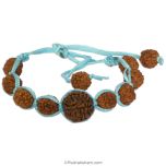 7 Mukhi Rudraksha Thread Bracelet