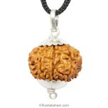 Collector 8 Mukhi Rudraksha Pendant Nepali Origin, Benefits of Aath Mukhi Energised Rudraksha Pendant | Large and High Quality Bead