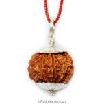 Collector 9 Mukhi Rudraksha Pendant in Silver Caps | Benefits of 9 Mukhi Pendant, Energised and Original Nine Mukhi Rudraksha Pendant from Nepal