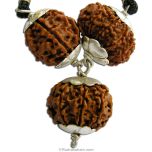  Business Power Pendant for Women | Combination of 6 Mukhi Rudraksha, 8 Mukhi Rudraksha And 9 Mukhi Rudraksha Pendant In Silver