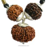  Doctors Power Pendant | 4 Mukhi Rudraksha, 9 Mukhi Rudraksha And 12 Mukhi Rudraksha Combination Pendant In Silver 