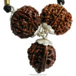 Ganesh Lakshmi Power Pendant | 6 Mukhi Rudraksha, 8 Mukhi Rudraksha And Ganesh Rudraksha Combination Pendant In Silver | For Blessings of Goddess Lakshmi