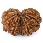 Gauri Shankar Rudraksha Bead | Shiva Parvati Bead Original Energised 100% Natural Bead from Nepal