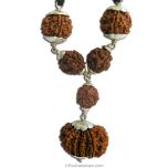 12 Mukhi Health Power Pendant | 3 Mukhi Rudraksha, 5 Mukhi Rudraksha and 12 Mukhi Rudraksha Combination Pendant In Silver | Controls Blood pressure and Diabetes