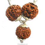 Kaal Sarp Power Pendant | Kal Sarp Dosha Removal and To Pacify Malefic Planets Rahu & Ketu | Combination Of 8 Mukhi Rudraksha With 9 Mukhi Rudraksha Bead In Silver Pendant