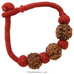  Multi Rudraksha Wrist Band