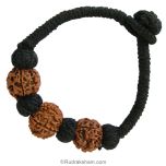  Rudraksha Wrist Band for Education