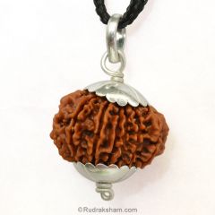 Collector 14 Mukhi Rudraksha Bead Pendant in Silver Caps | Genuine Natural Energised Pure 14 Faced Rudraksha Pendant 