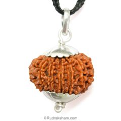 14 Mukhi Rudraksha Bead Pendant The Third Eye Opener Fourteen Mukhi Natural Energised Rudraksha bead Pendant in Silver | 14 Faced Rudraksha Pendant