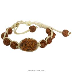 2 Mukhi Rudraksha Thread Bracelet