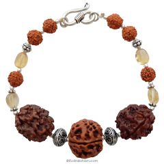  Scorpio Zodiac Sun Sign Bracelet | Vrishchik ( Vrischika ) Rashi Bracelet | A Combination of 2 Mukhi Rudraksha, 3 Mukhi Rudraksha and 5 Mukhi Rudraksha with Golden Topaz Gemstone Beads in Silver | Energised Bracelet