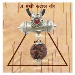 3 Mukhi Rudraksha Yantra Kavach | Three Mukhi Rudraksha Yantra on Bhoj Patra - Collector 3 ( Teen ) Mukhi Rudraksha Bead Pendant | Teen Mukhi Three faced Natural Rudraksha Bead from Nepal