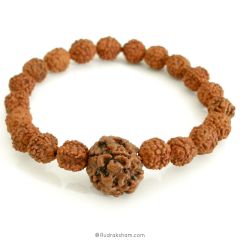 Wholesale Pack of 10 Pcs - 4 ( Char ) Mukhi Rudraksha Mala Bracelet with Small 5 Mukhi Rudraksha | Nepal Four Mukhi Rudraksha Bead, Ideal Gift for students