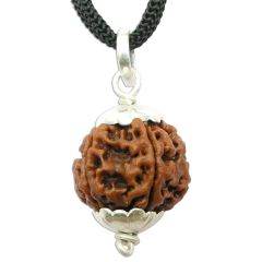 5 Mukhi Rudraksha Pendant | Benefits of Wearing FIVE Faced Rudraksha Pendant, Energised Panch Mukhi Nepali Bead Silver Pendant