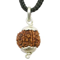 6 Mukhi Rudraksha Pendant, Benefits of Six Mukhi Nepali Rudraksha Silver Pendant, Buy Online 6 Mukhi Pendant Energised