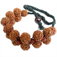 6 Mukhi Rudraksha Armlet