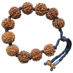 7 Mukhi Rudraksha Beads - Lapis Lazuli Mala Bracelet | Buy Original Energised Saat Mukhi Wrist Mala Bracelets