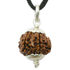 7 Mukhi Rudraksha Pendant | Saat Mukhi Nepal Origin | Benefits of 7 Mukhi Pendant in Silver Caps