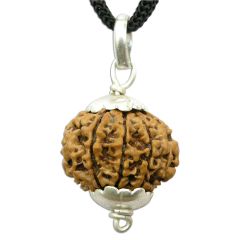 9 Mukhi Rudraksha Pendant | Benefits of Nine Mukhi Rudraksha | Original and Energised 9 Mukhi ( Nau Mukhi ) Pendant