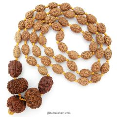 Rudraksha Protection Mala Unlocked