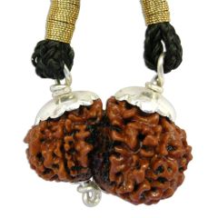  Garbh Gauri Rudraksha Bead Pendant from Nepal |Best Price Original Natural Shiv Parvati Rudraksha Bead Pendant in Silver Caps and wire