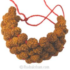 Rudraksha Healing Band - 2