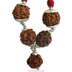 Health Power Pendant | 3 Mukhi Rudraksha and 5 Mukhi Rudraksha Combination pendant In Silver | Controls Blood pressure and Diabetes