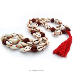 Rudraksha - Kauri Mala | Cowry Necklace | Cowrie Shell Beads Rudraksha Rosary | Rudraksha Kaudi Necklace