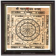  Mahamritunjaya Yantra - Framed