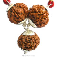 Marketing Power Pendant | 7 Mukhi Rudraksha, 8 Mukhi Rudraksha And 12 Mukhi Rudraksha Combination Pendant In Silver