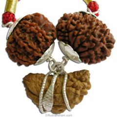 Meditation - Dhyan Yoga Power Pendant | 1 Mukhi Rudraksha, 9 Mukhi Rudraksha And 11 Mukhi Rudraksha Combination Pendant in Silver