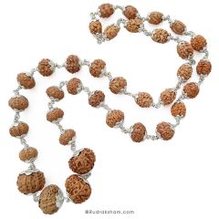 Navgrah Rudraksha Beads Mala Necklace in Silver | To Pacify all the Nine Planets