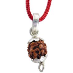 Pathri - Chikna Rudraksha 5 Mukhi Bead Pendant in Silver (10 mm )