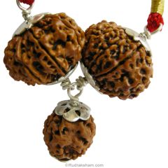  Protection Power Pendant | 3 Mukhi Rudraksha, 9 Mukhi Rudraksha And 11 Mukhi Rudraksha Combination Pendant In Silver | TALISMAN For Evil Eye protection