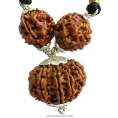 Raksha Kavach Power Pendant | Combination Of 3 Mukhi Rudraksha With 11 Mukhi Rudraksha Bead In Silver Pendant | Powerful Talisman for Protection from Evil and Negativity